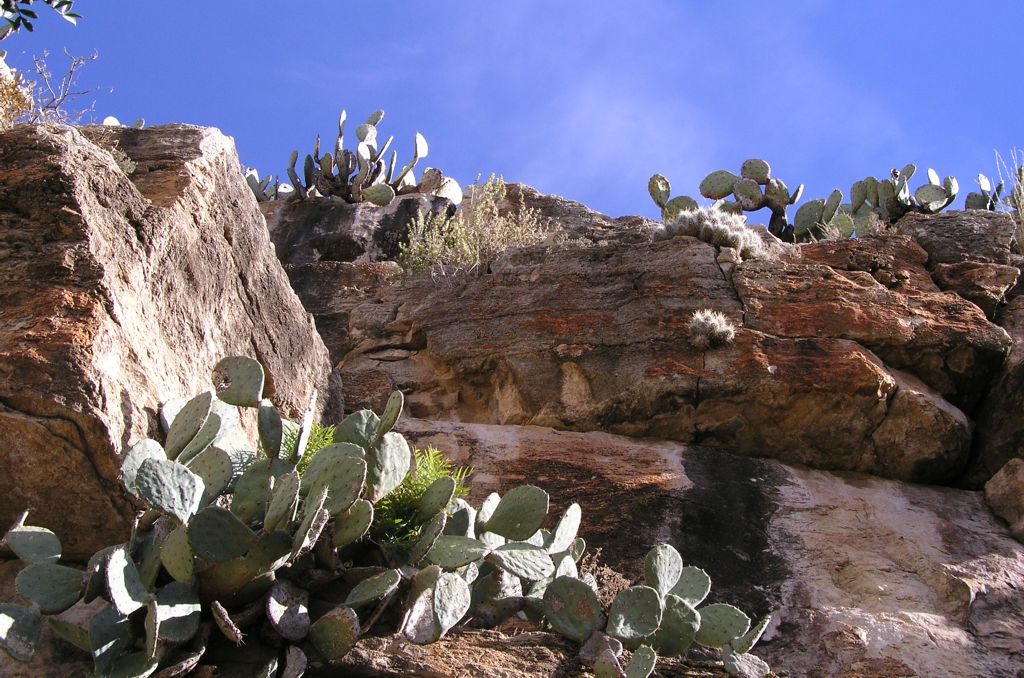 Carlsbad caverns